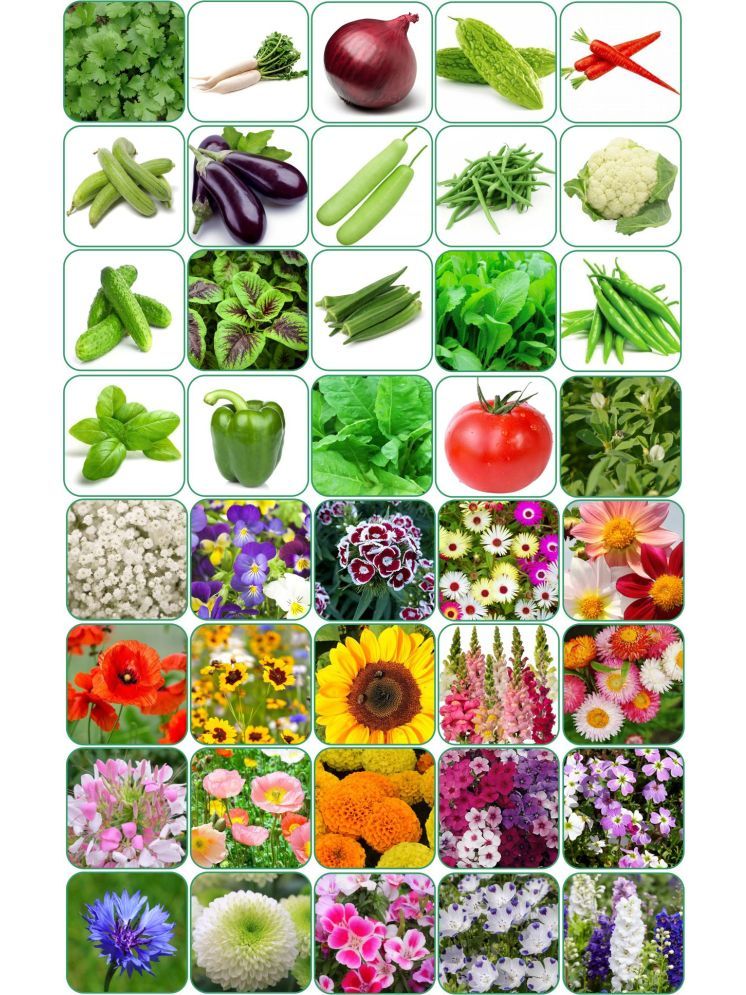     			Aero Seeds Combo Pack Of 20 Varieties Flower Seeds 20 Varieties Vegetable Seeds