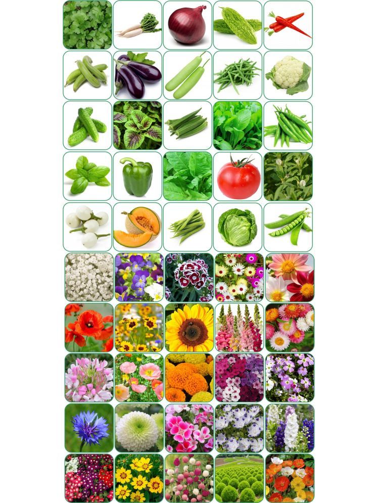     			Aero Seeds Combo Pack Of 25 Varieties Flower Seeds 25 Varieties Vegetable Seeds