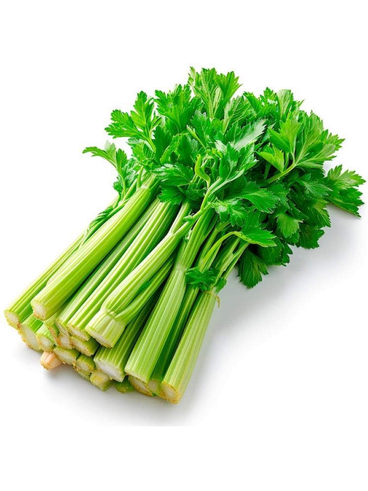     			Jignisha Seeds Hybrid Celery Vegetable ( 100 Seeds )