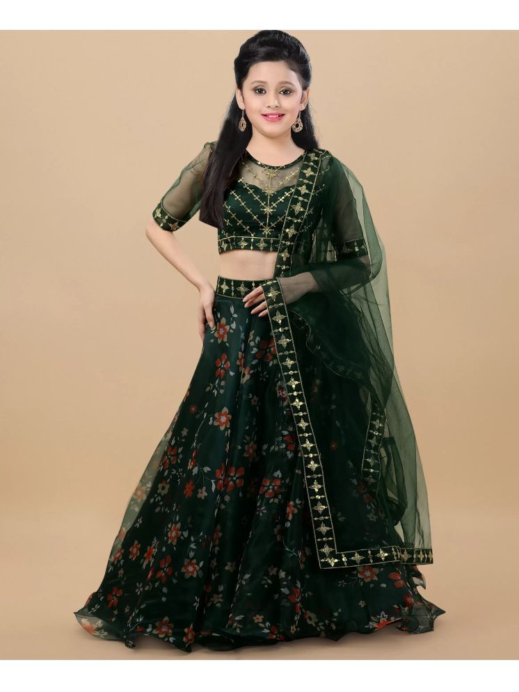     			piludi Organza Lehenga Choli Set For Girls ( Pack of 1 , Green )