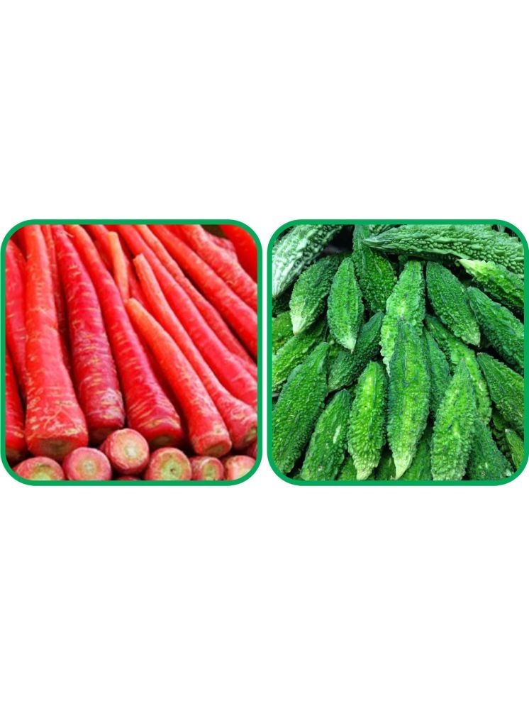     			Aero Seeds Bitter Gourd ( 30 Seeds) And Redish Red ( 100 Seeds) Vegetable Seeds Pack