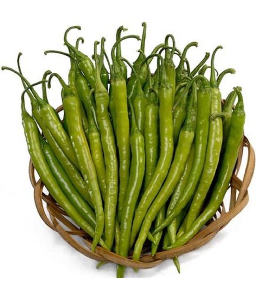     			Jignisha Seeds Organic Green Chilli Vegetable ( 50 Seeds )