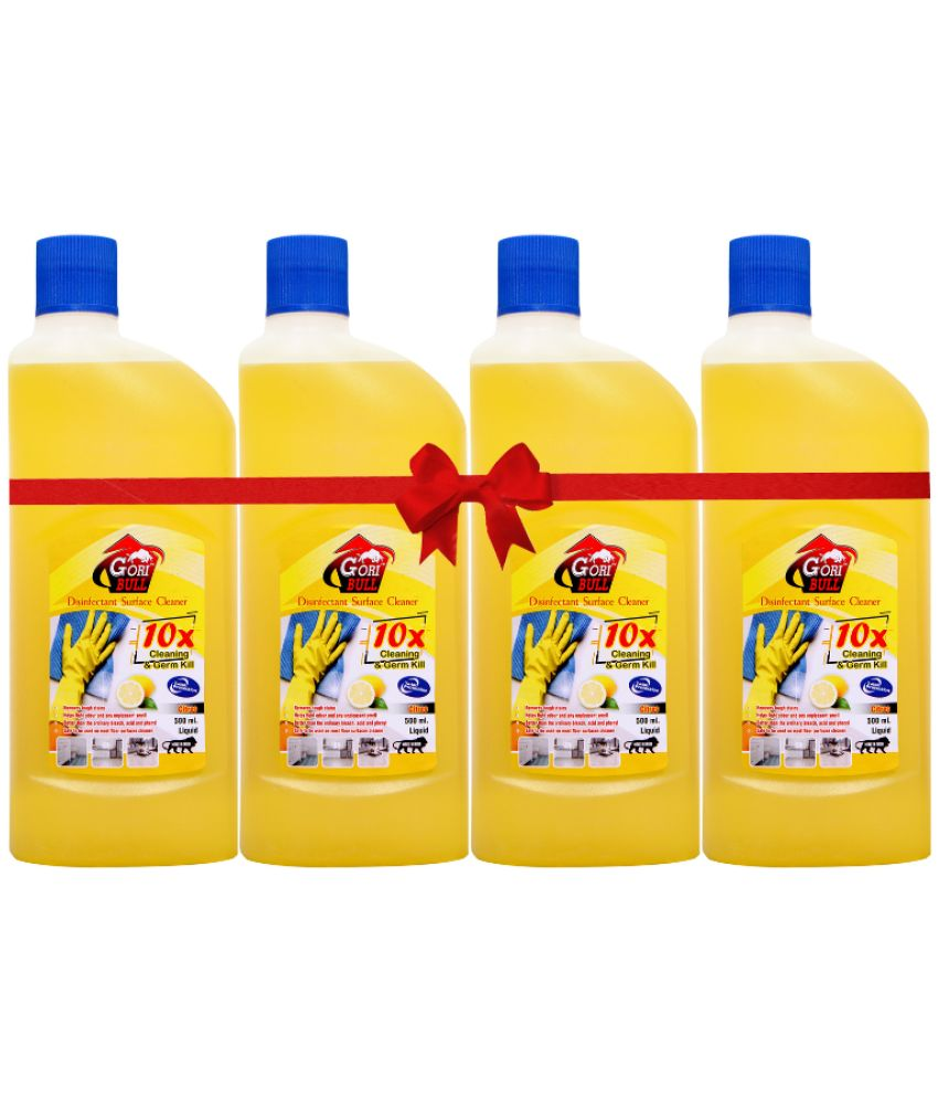     			GORIBULL GORIBULL Disinfectant Floor Cleaner CITRUS 2 kg Pack Of 4