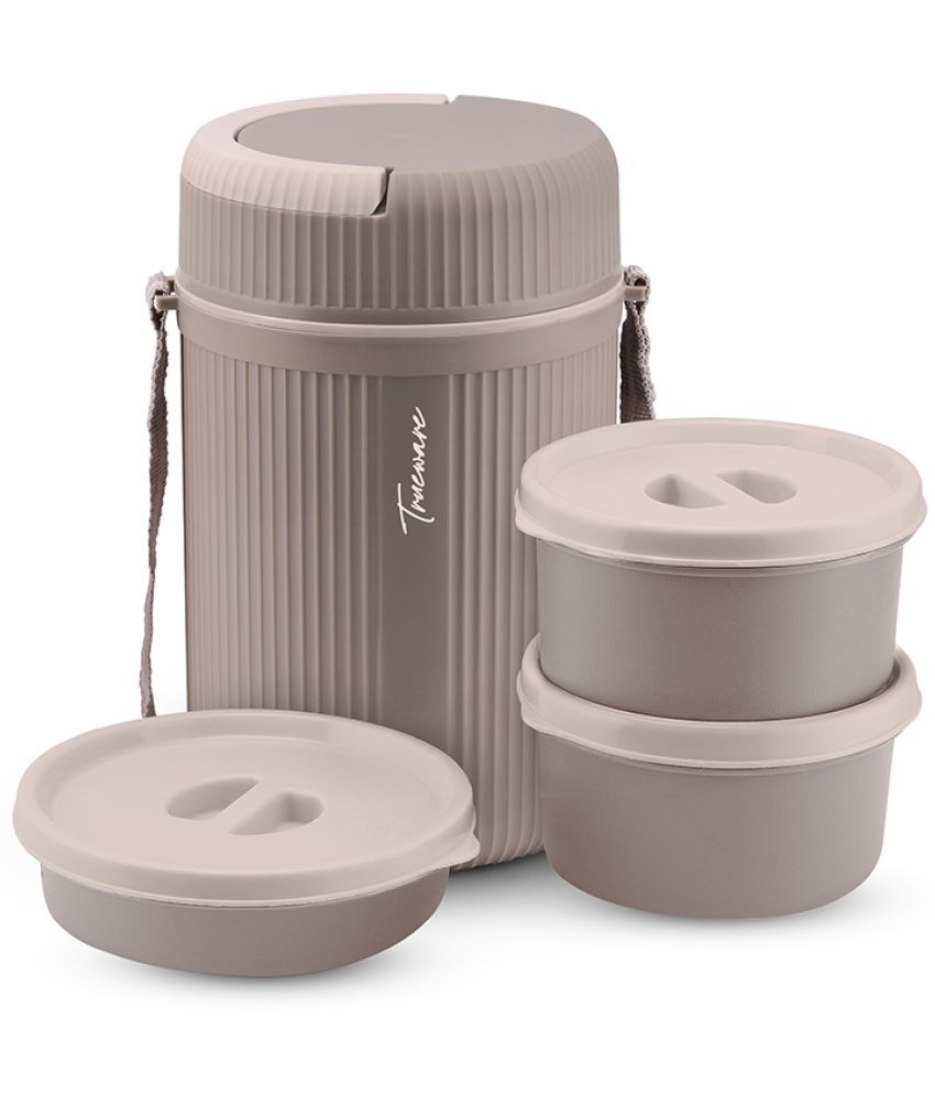     			Trueware Meal 2 Plastic Insulated Lunch Box 3 - Container ( Pack of 1 )