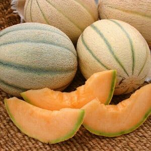     			Jignisha Seeds Organic Muskmelon Striped Fruit ( 30 Seeds )