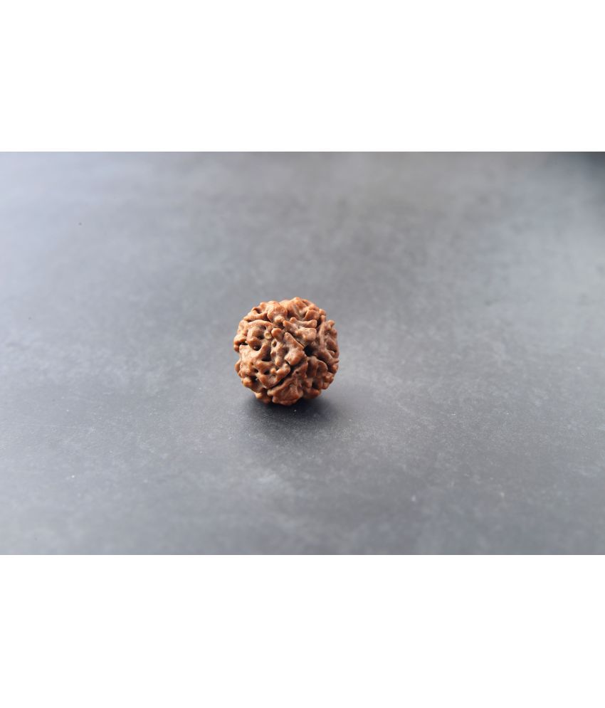     			yogii 4 Mukhi Rudraksha Bead ( Pack of 1 )