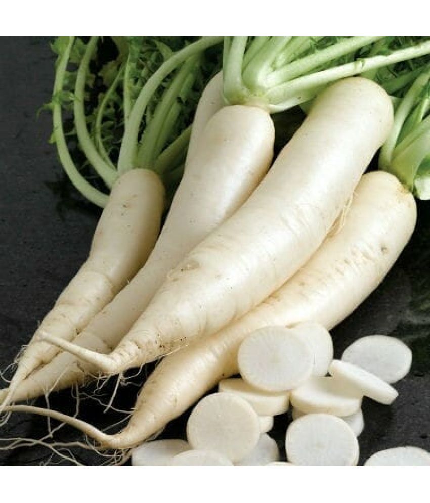     			Jignisha Seeds Organic White Radish Vegetable ( 500 Seeds )