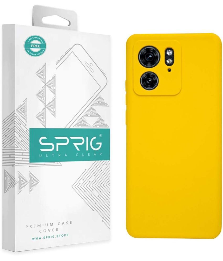     			Sprig Plain Cases Compatible For TPU Glossy Cases Motorola Edge 40 ( Pack of 1 )