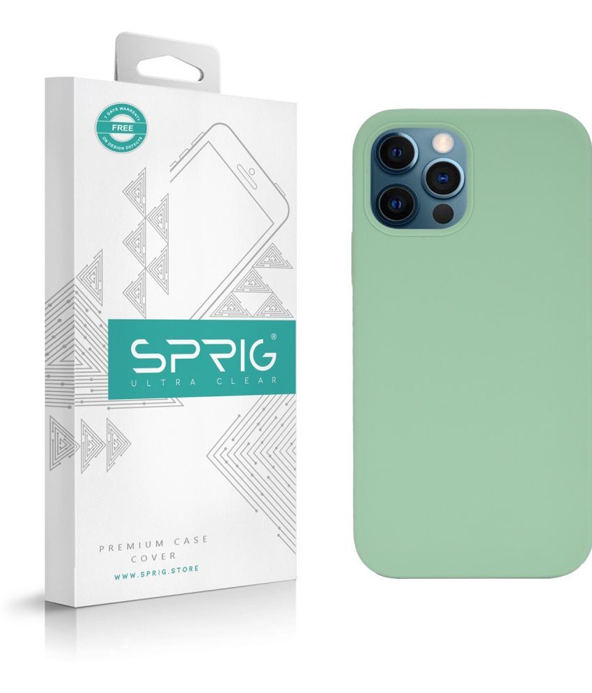     			Sprig Plain Cases Compatible For Silicon Apple Iphone 12 ( Pack of 1 )