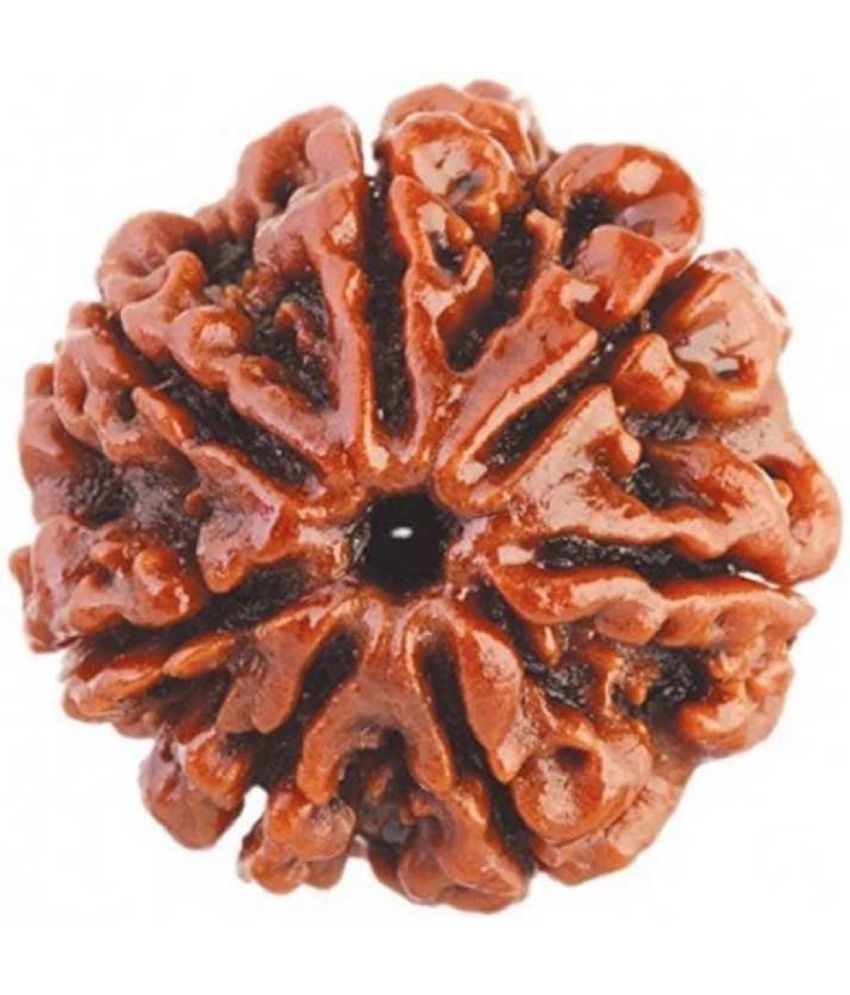     			YASH GEMS Rudraksha Bead ( Pack of 1 )