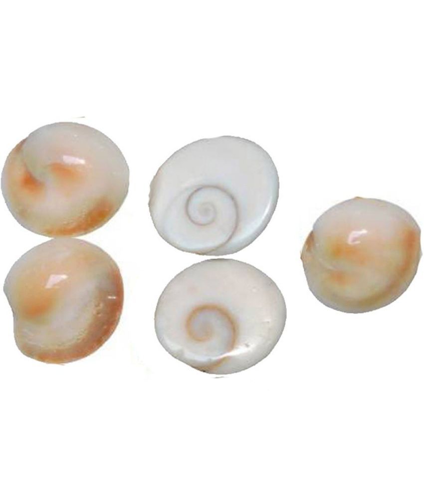     			YASH GEMS Vastu Showpiece 8 cm - Pack of 1