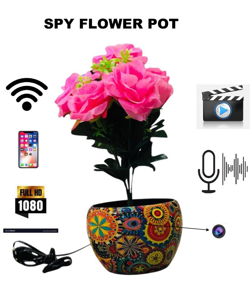     			Vizio VIZIO SPY FLOWER POT Wi-Fi Others 1080 Camera