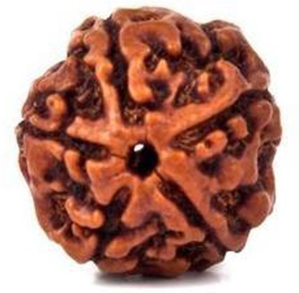     			YASH GEMS Rudraksha Pendant ( Pack of 1 )