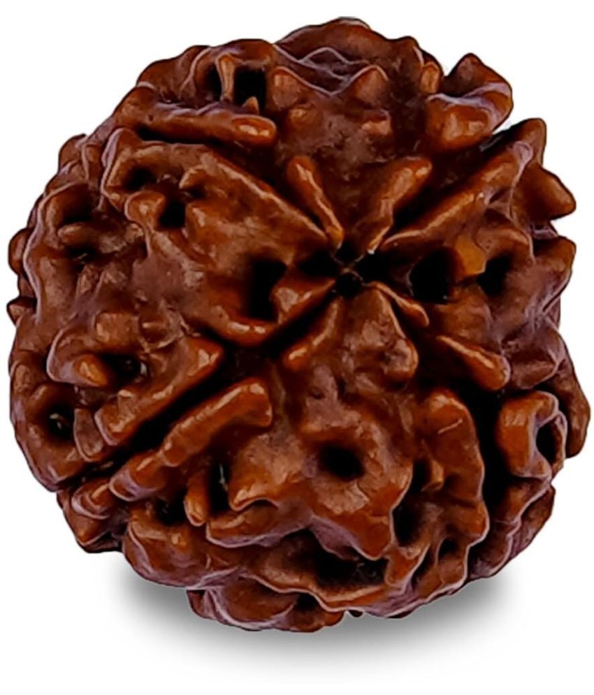     			YASH GEMS Rudraksha Pendant ( Pack of 1 )