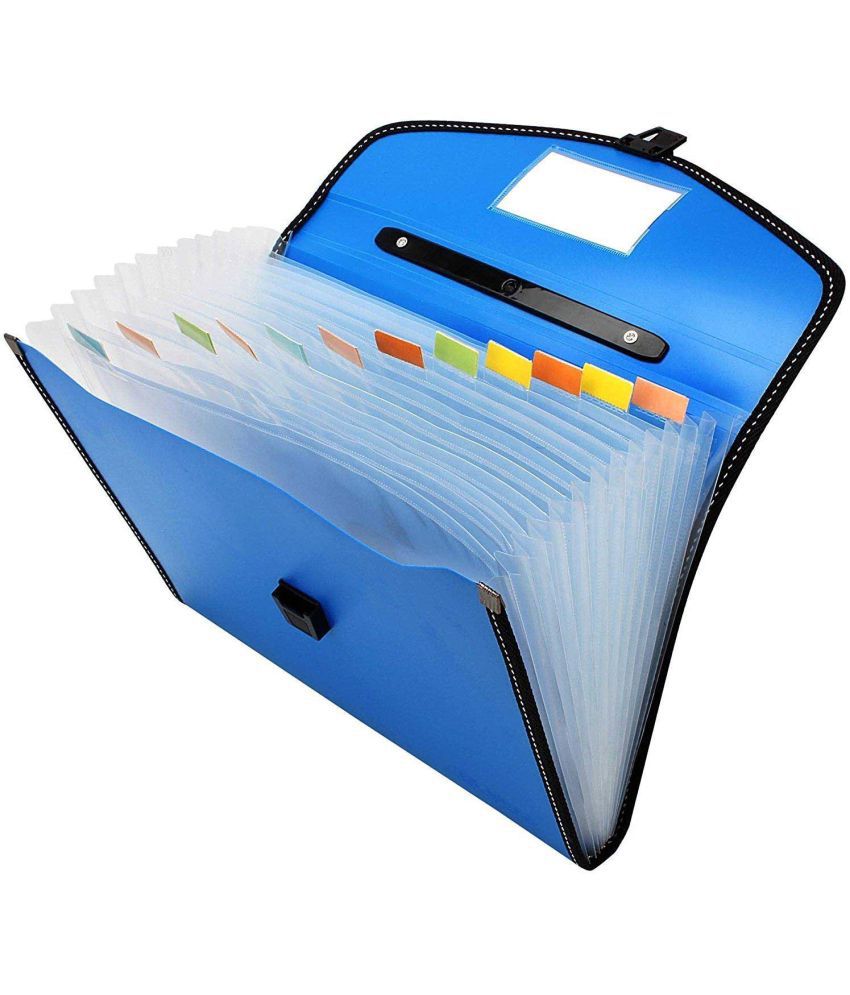    			Villy File Folder, Accordion Document/Letter A4 Size File Organizer with Handle and 13 Pockets - Assorted Colour