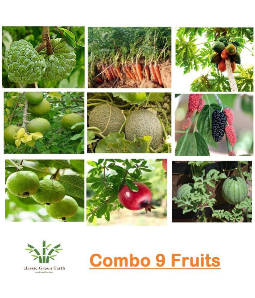     			COMBO OF 9 FRUITS 500+ SEEDS