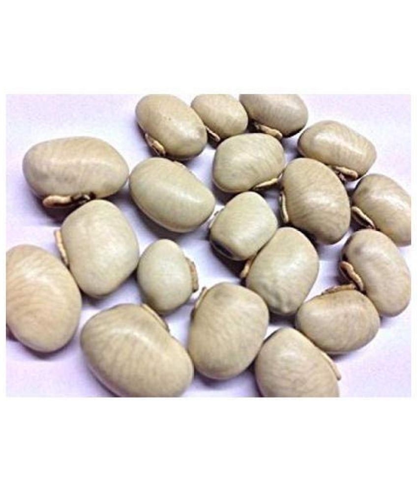     			Nutrixia Food Kauch Beej/कौच बीज/Konch/Mucuna pruriens/Kaunch Seeds  100 gm