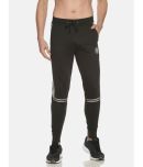 Dollar Black Cotton Solid Joggers Single