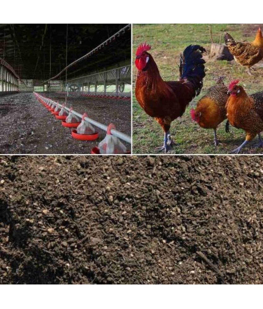 Chicken manure 1 kg Buy Chicken manure 1 kg Online at Low Price Snapdeal