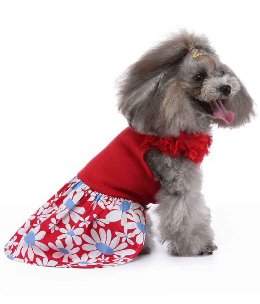 dog frock dress