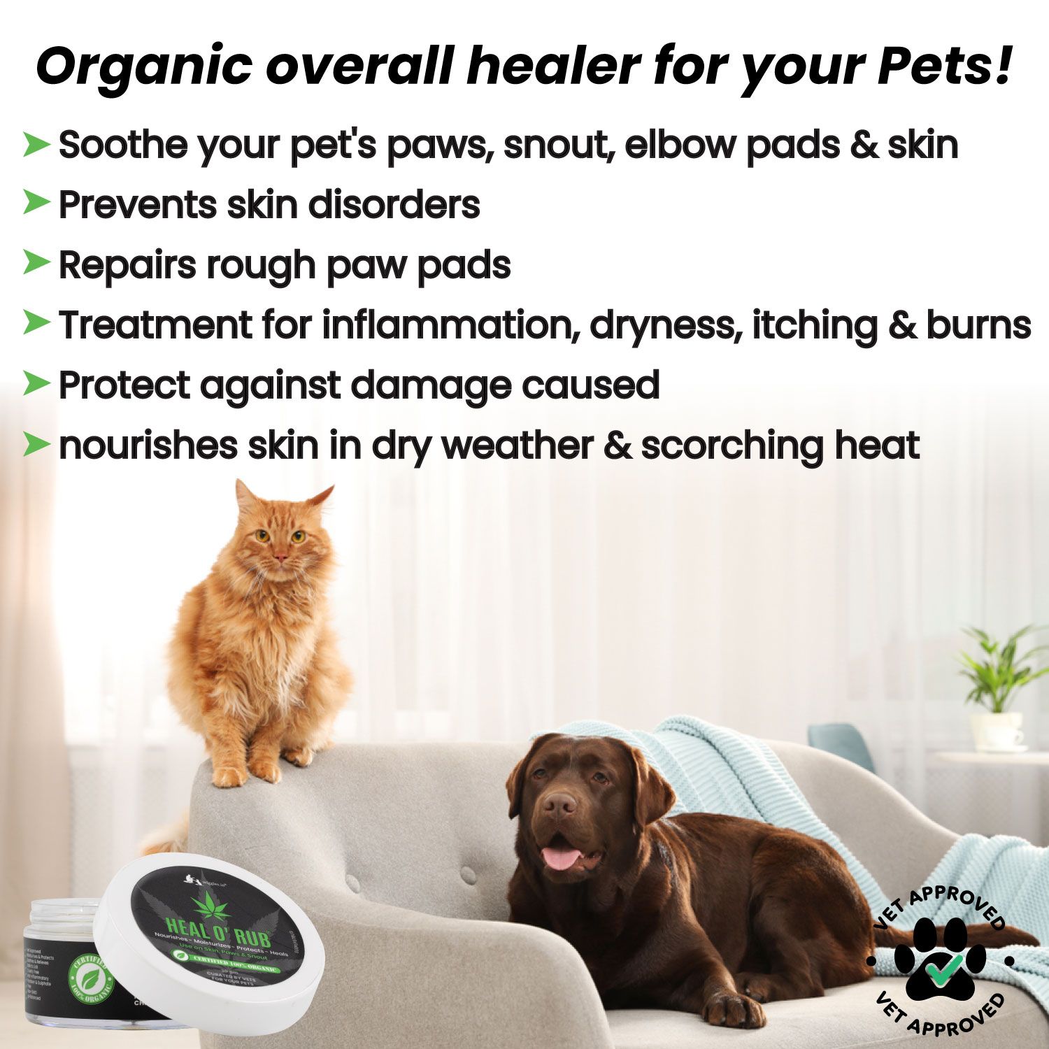 Heal O Rub Organic Dog Paw Balm Cream Butter 30g Vet Approved Dry Rough Skin Smoothener Hemp Seed Oil Elbow Moisturizer Cats Puppy Balm Blue Berry Buy Heal O Rub Organic Dog Heal O Rub Organic Dog Paw Balm Cream Butter 30g Vet Approved Dry Rough Skin Smoothener Hemp Seed Oil Elbow Moisturizer Cats Puppy Balm Blue Berry Buy Heal O Rub Organic Dog