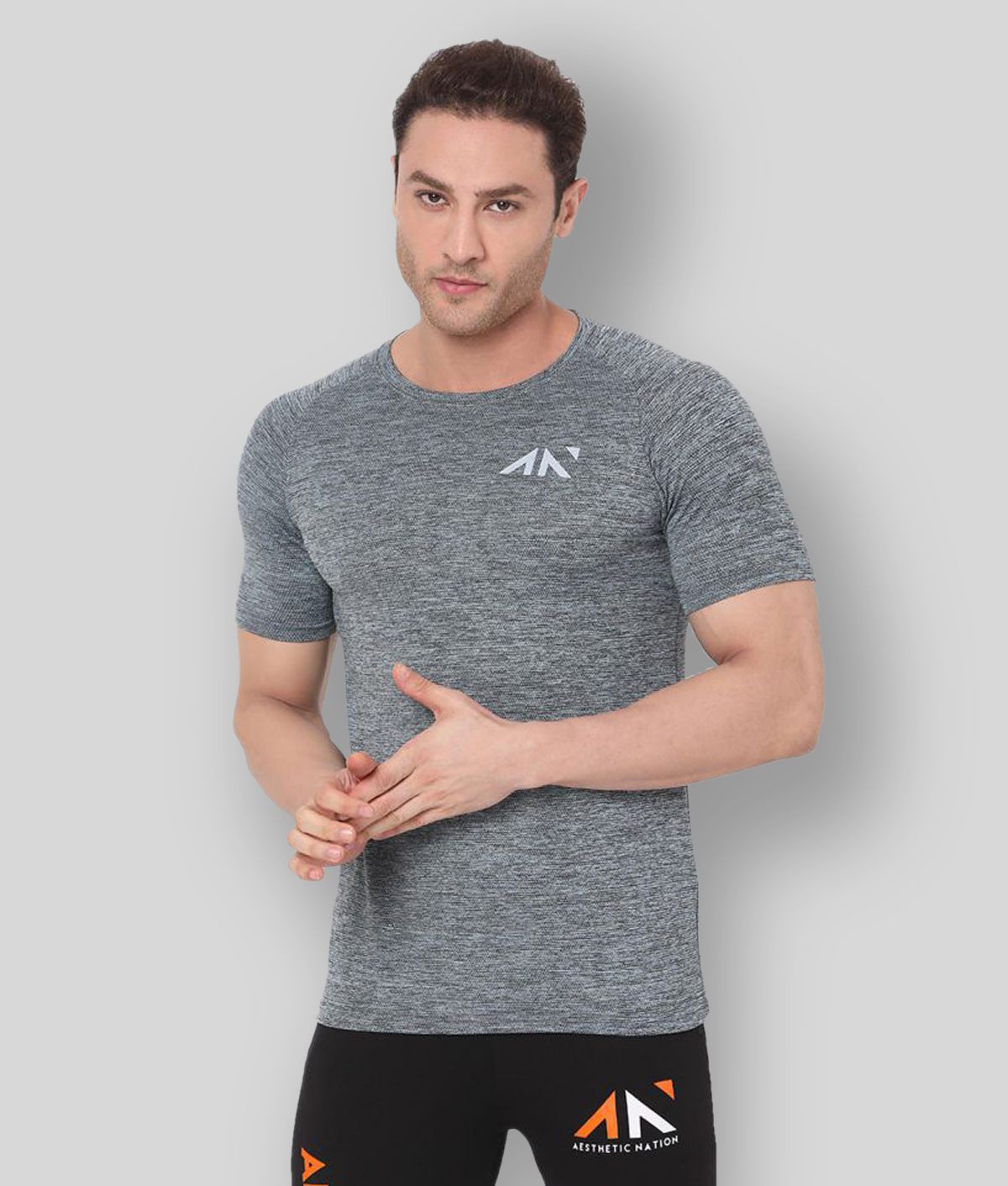     			Aesthetic Nation - Grey Polyester Regular Fit  Men's T-Shirt ( Pack of 1 )