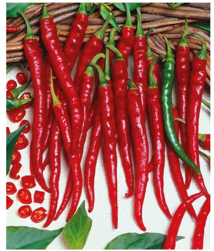     			Hot Red Chili Long Gardening Vegetable Pack Of 50 Seeds
