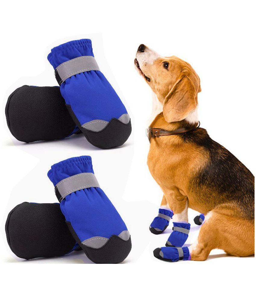 Are Dog Boots Really Necessary During Winter