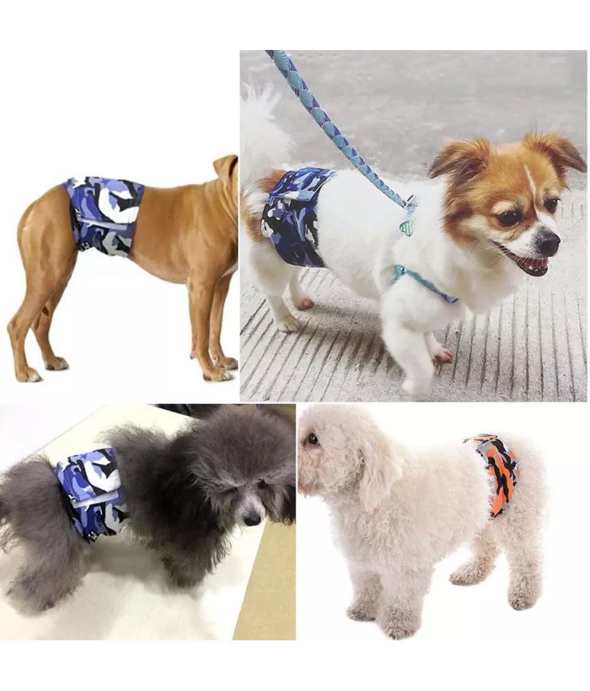 What Is A Male Dog Wrap