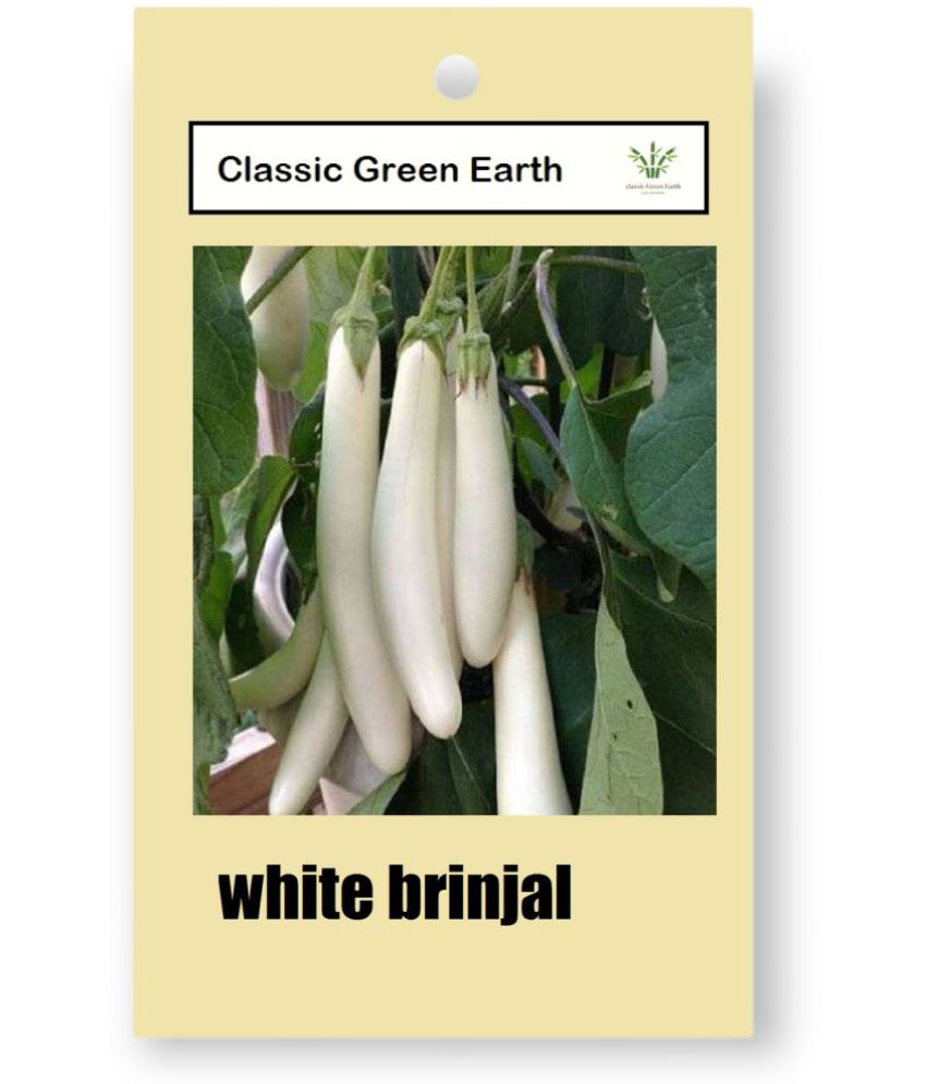     			CLASSIC GREEN EARTH - Vegetable Seeds ( Brinjal White Oblong long, 50 Seeds )