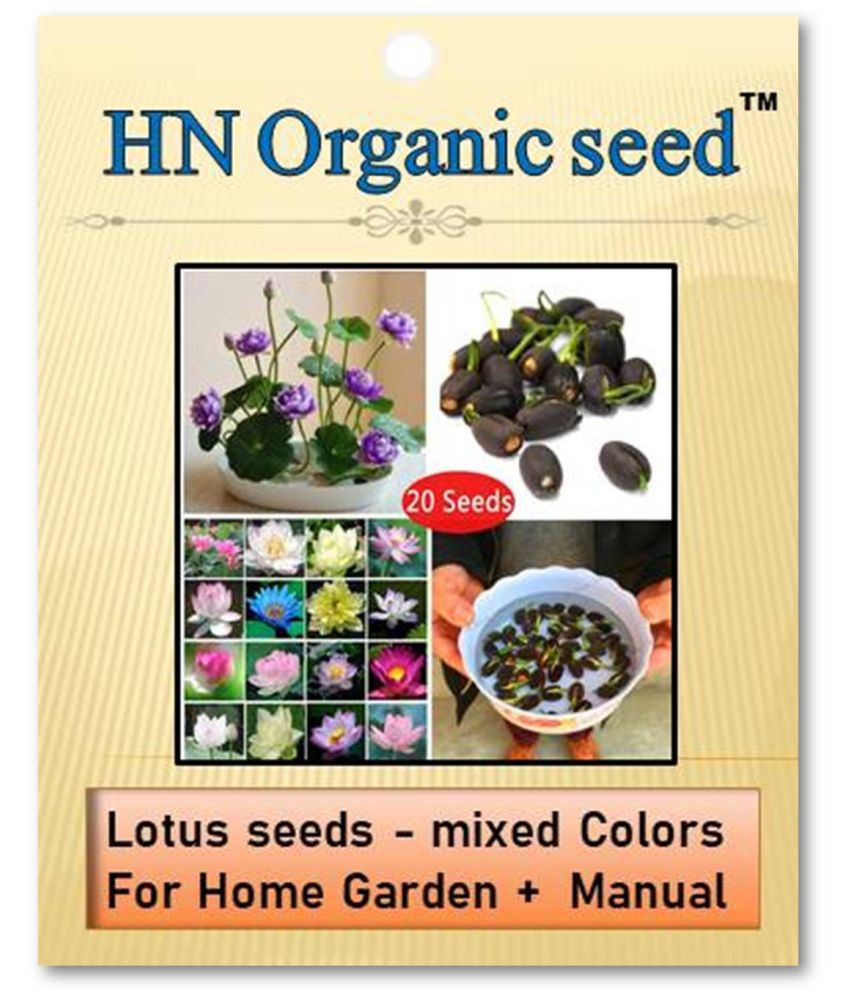 homeagro - Flower Seeds ( Lotus seeds -mixed colours 20 seeds )