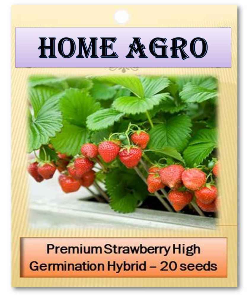     			homeagro - Strawberry Fruit ( 20 Seeds )