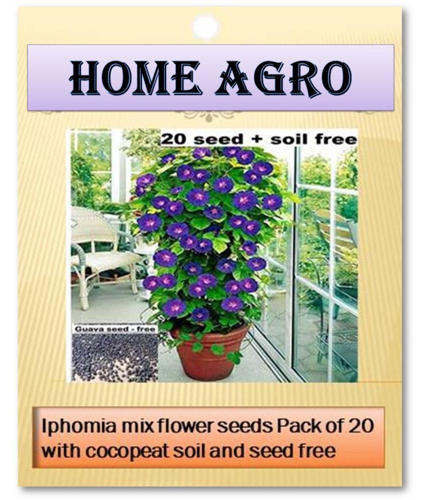     			HN organic seed - Flower Seeds ( 20 )