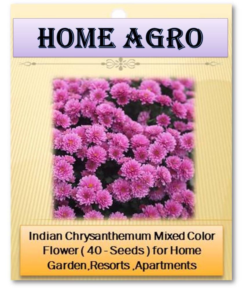     			HN organic seed - Flower Seeds ( 40 )