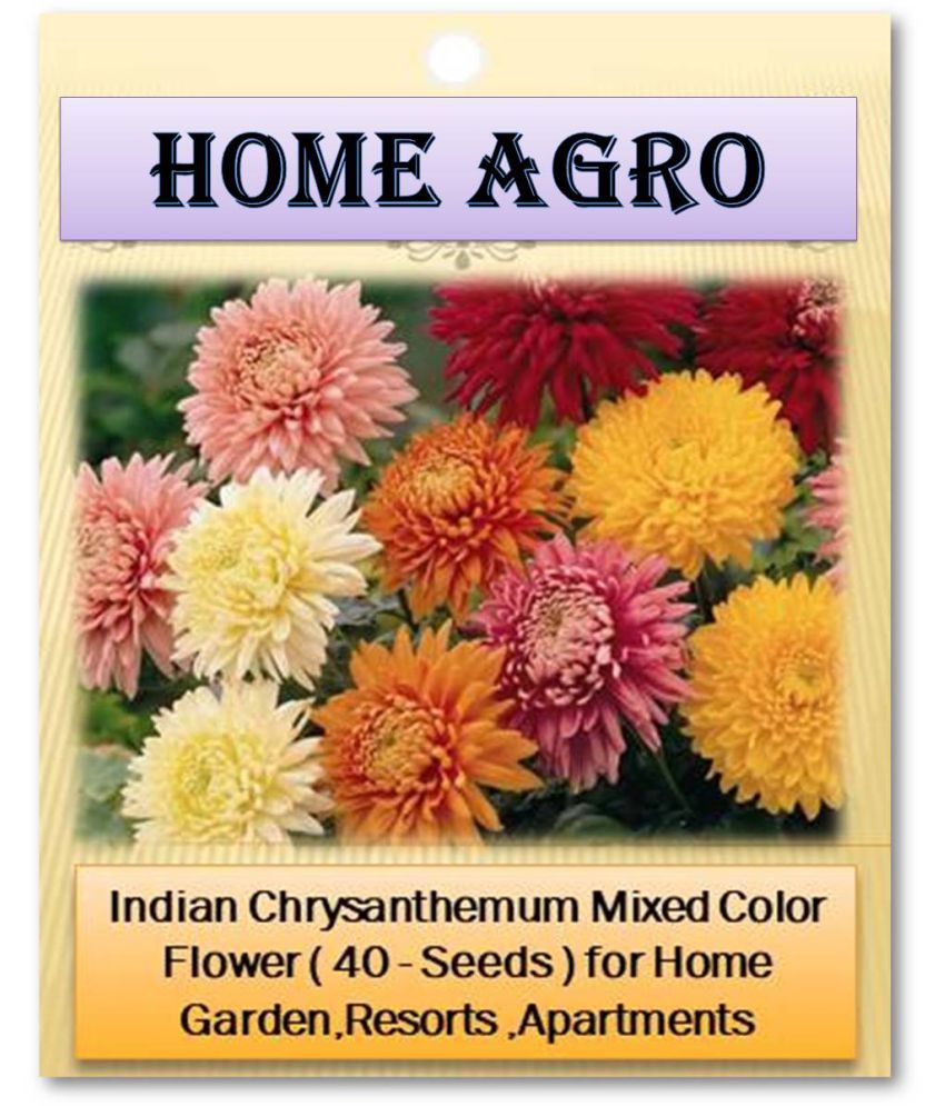     			HN organic seed - Flower Seeds ( 40 )