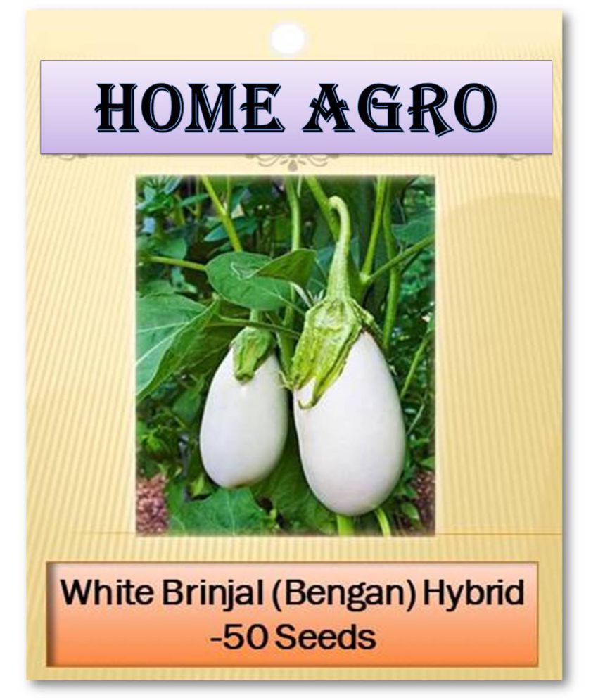     			homeagro - Vegetable Seeds ( 50 )