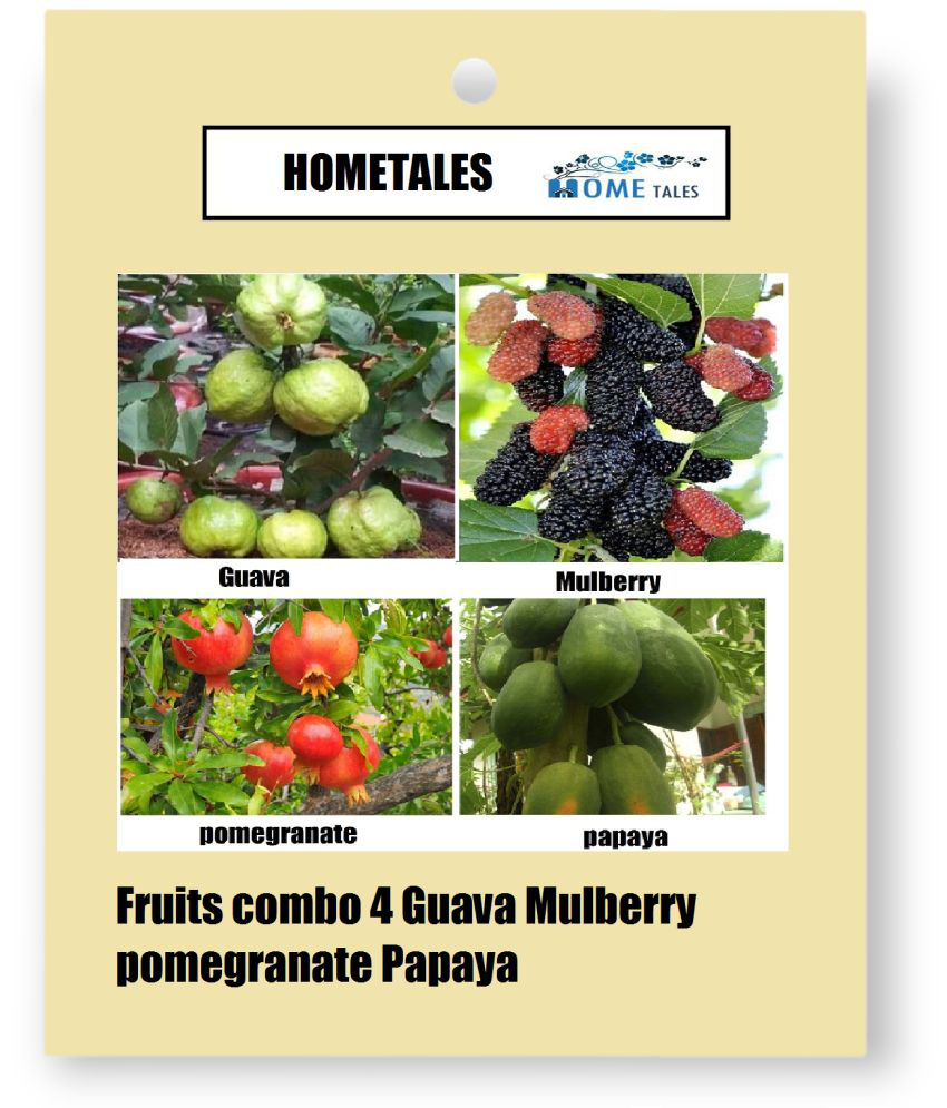 HOMETALES- Fruit Fruit Seeds (Pack of 200)