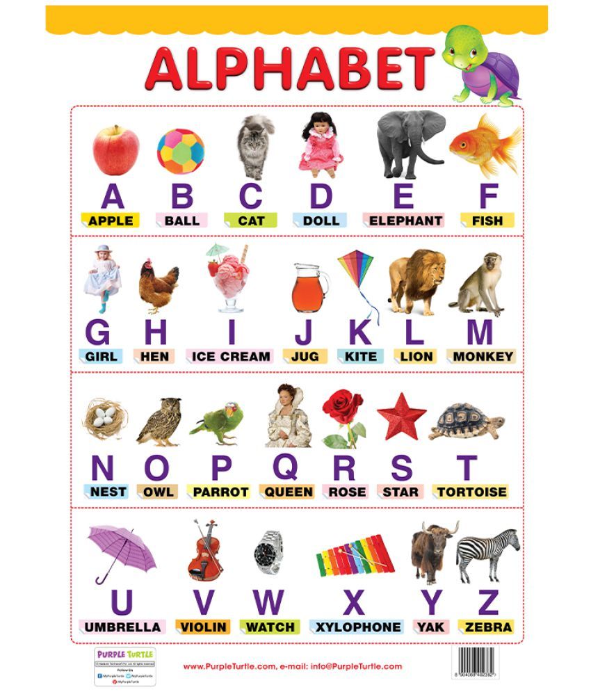 Fruits & Vegetables, Alphabet, and Shapes Educational Wall Charts for ...