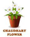 CHAUDHARY FLOWER