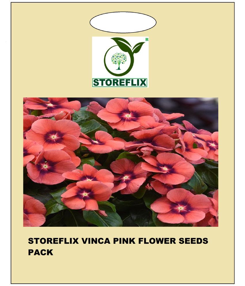 STOREFLIX Vinca Flower ( 50 Seeds ) Buy STOREFLIX Vinca Flower ( 50 Seeds ) Online at Low