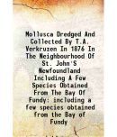 Mollusca Dredged And Collected By T.A. Verkruzen In 1876 In The Neighbourhood Of St. John'S Newfoundland Including A Few Species Obtained From The Bay