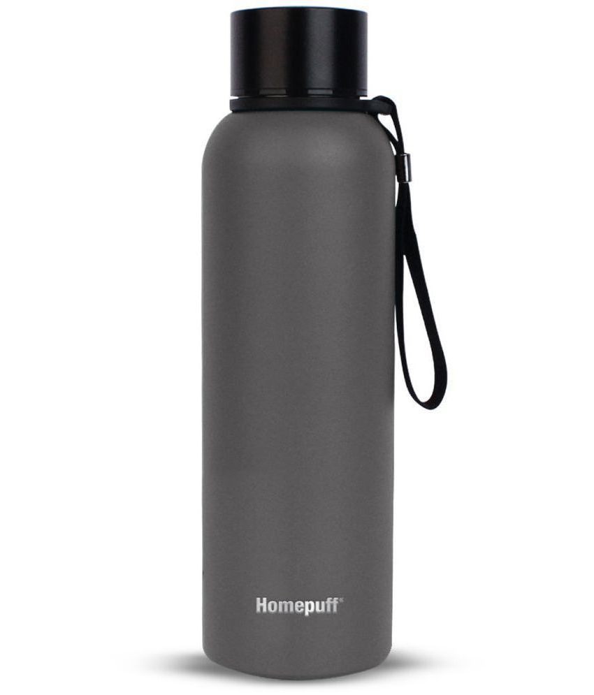     			Home Puff - ActivPlus Insulated Water Bottle Grey 700 mL Water Bottle ( Set of 1 )