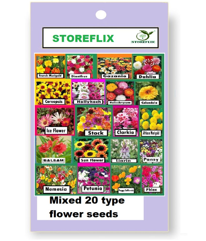     			STOREFLIX - Mixed Flower ( 800 Seeds )