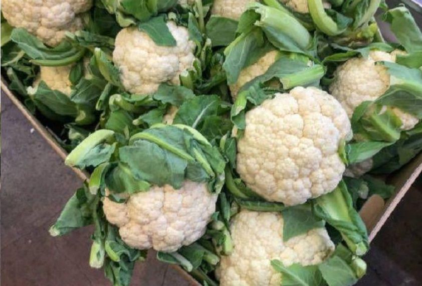     			homeagro - Cauliflower Vegetable ( 50 Seeds )