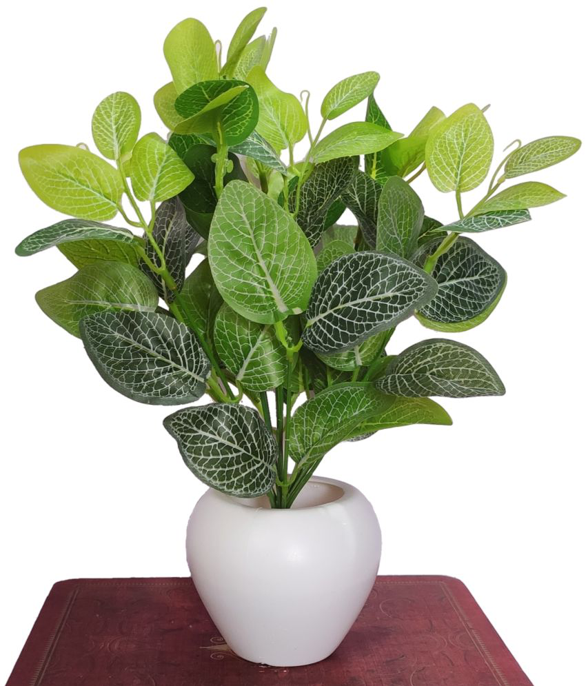     			BAARIG - Green Evergreen Artificial Plants Bunch ( Pack of 1 )