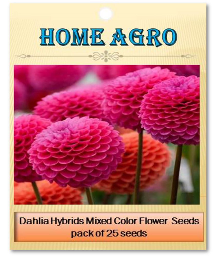     			HN organic seed - Dahlia Mixed Flower ( 25 Seeds )