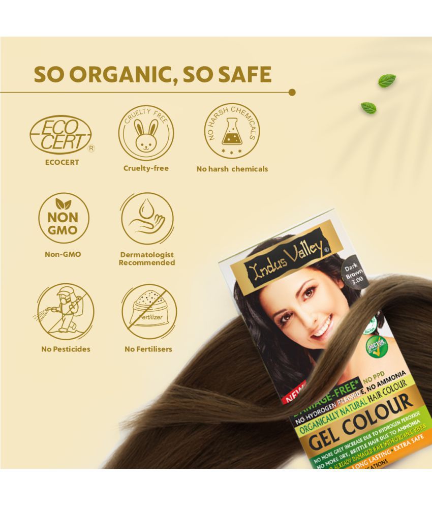 Buy Indus Valley Organically Natural Hair Color No Ammonia Hair Colour, Gel Hair  Color Dark Brown  Online at Best Price in India - Snapdeal