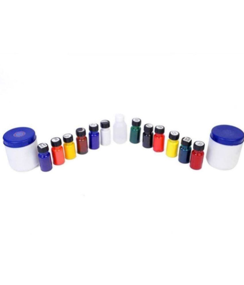    			PRANSUNITA - Plastic Pigment Dyes 250ml (Multicolour) - Set of 12 ( Pack of 1 )