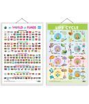 Set of 2 My World of Flags and Life Cycle Early Learning Educational Charts for Kids | 20"X30" inch |Non-Tearable and Waterproof | Double Sided Laminated | Perfect for Homeschooling, Kindergarten and Nursery Students