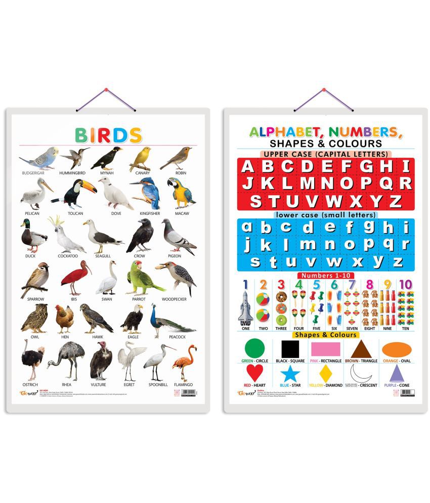     			Set of 2 Birds and Alphabet, Numbers, Shapes & Colours Early Learning Educational Charts for Kids | 20"X30" inch |Non-Tearable and Waterproof | Double Sided Laminated | Perfect for Homeschooling, Kindergarten and Nursery Students